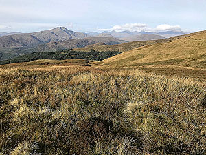 Stob an Lochain. Image from Stob an Lochain