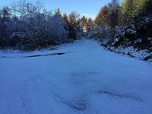 Loch Ard forest. Although you turn left here, the route to the right can provide some lovely photos. Take 0.5Km down to the loch and then return.