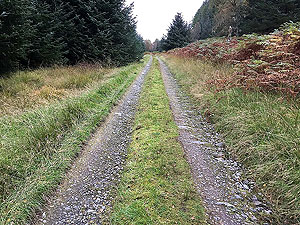 Aberfoyle past the tower. The last climb on the route, which is also the highest.