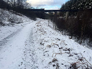 Aberfoyle past the tower. Another viaduct view