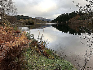 Aberfoyle past the tower. Image from Aberfoyle past the tower