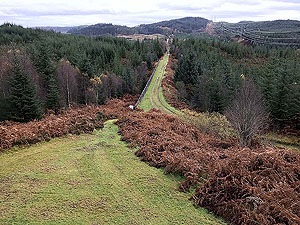 Aberfoyle past the tower. Take a little detour and climb the grassy slope up to the pump station.