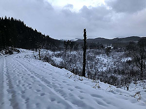 Aberfoyle past the tower. When it is snowing the run down this section can be hard going. It seems to have either too much snow or thick ice - perhaps one day we will get it with just a small fresh covering.