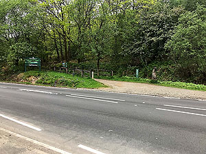 Ben Arthur - The Cobbler. The path at the start of the climb. Get a wee selfie with the fox at the start