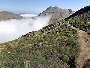 Ben Arthur - The Cobbler. Nice bit of easy trail before you hit the stone stairs. Be very careful on those stairs