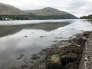 Ben Arthur - The Cobbler. View down the loch away from Arrochar
