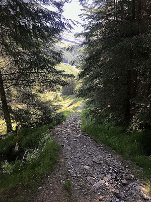Ardgoil peninsula.