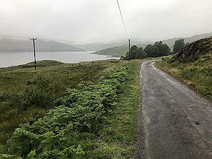 Glen Finglas loop. Early views once out of the trees on a misty morning