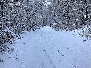 Cocksburn reservoir loop. A long downhill stretch so enjoy and take care of traffic