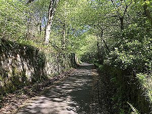 Cocksburn reservoir loop. Lovely, but steep, single track road.