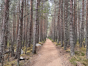 Lairig Grhu hill race. Old finish line.