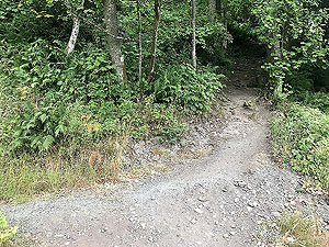 Dumyat hill run. After passign under the power lines, take the path uphill to the right