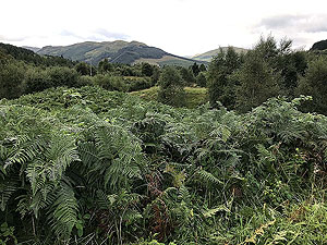 Strathyre and Loch Earn.