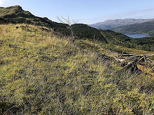 Glen Fruin to Loch Long.