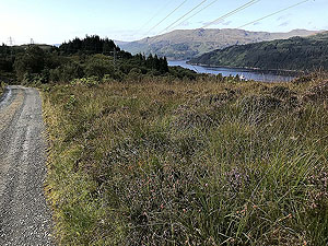 Glen Fruin to Loch Long.