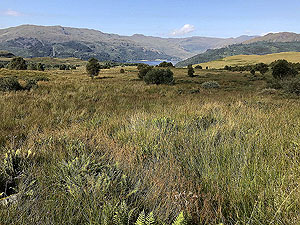 Glen Fruin to Loch Long.