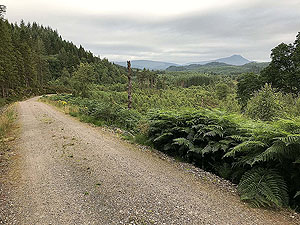 Queen Elizabeth forest park.