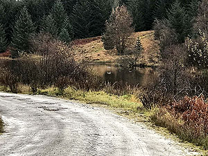 Aberfoyle to Loch Venachar. Image from Aberfoyle to Loch Venachar