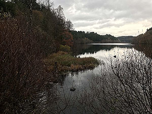 Aberfoyle to Loch Venachar. Image from Aberfoyle to Loch Venachar