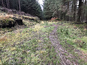 Aberfoyle to Loch Venachar. Short and muddy section