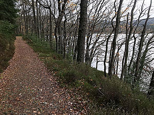 Aberfoyle to Loch Venachar. Good quality trail path beside the loch