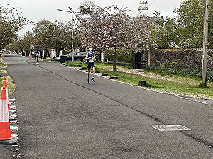 Gallus Running : 528_sm_009.jpg