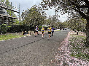 Gallus Running : 528_sm_012.jpg