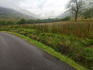 Loch Katrine marathon. Image from Loch Katrine marathon
