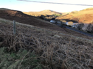 Glen Devon - Geordies wood. Image from Glen Devon - Geordies wood