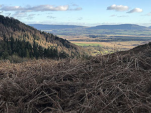 Craigmore.