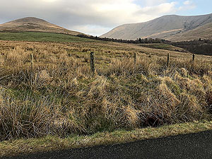 Helensburgh - Glen Fruin. End of the flat bit of the glen