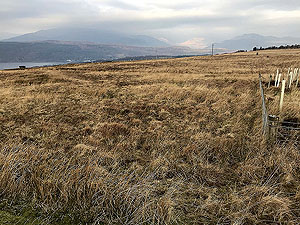 Helensburgh - Glen Fruin. Arrochar alps