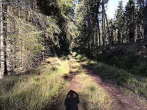 Meikle Tap. Looking back at the really muddy part