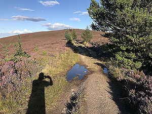 Meikle Tap. Within 0.5 Km of the top