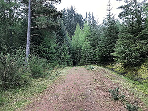 Meikle Tap. The first 0.75 KM is uphill