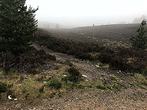 Meikle Tap. Take smaller path on the left