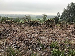 Meikle Tap. A murky evening