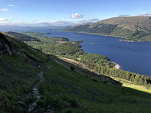 Ben Lomond. In the sunshine, what a place