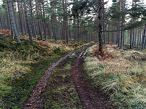 Firmounth. Path has been updated since this picture