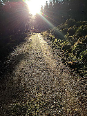 Firmounth. Just before the turning at the Guard