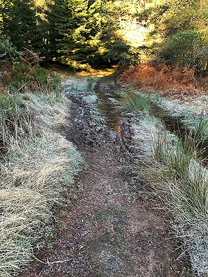 Firmounth. Can be muddy in parts