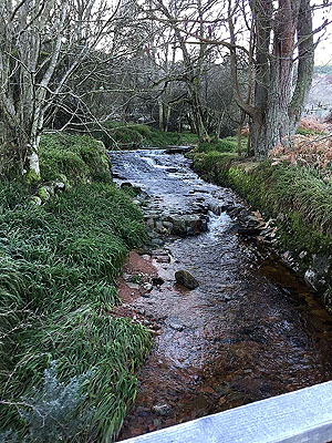 Firmounth. View of the burn (stream)