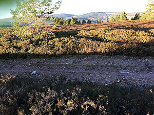 Firmounth. Looking north