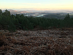 Firmounth. Eearly morning