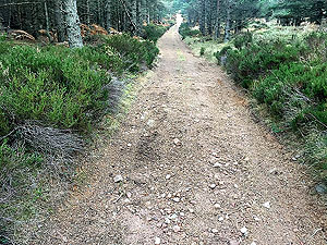 Firmounth. The hill ahead