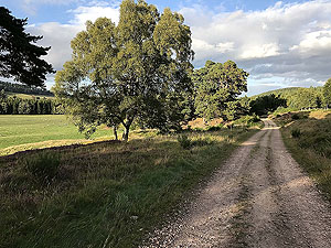 Firmounth. A flat section