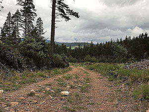 Firmounth. Image from Firmounth