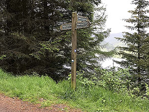 Glen Sherup loop. Stay on forest road at this point.