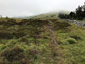 Glen Sherup loop. View up the hill