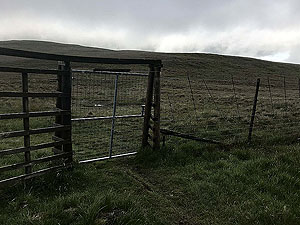 Glen Sherup loop. Through the gate then off to the right